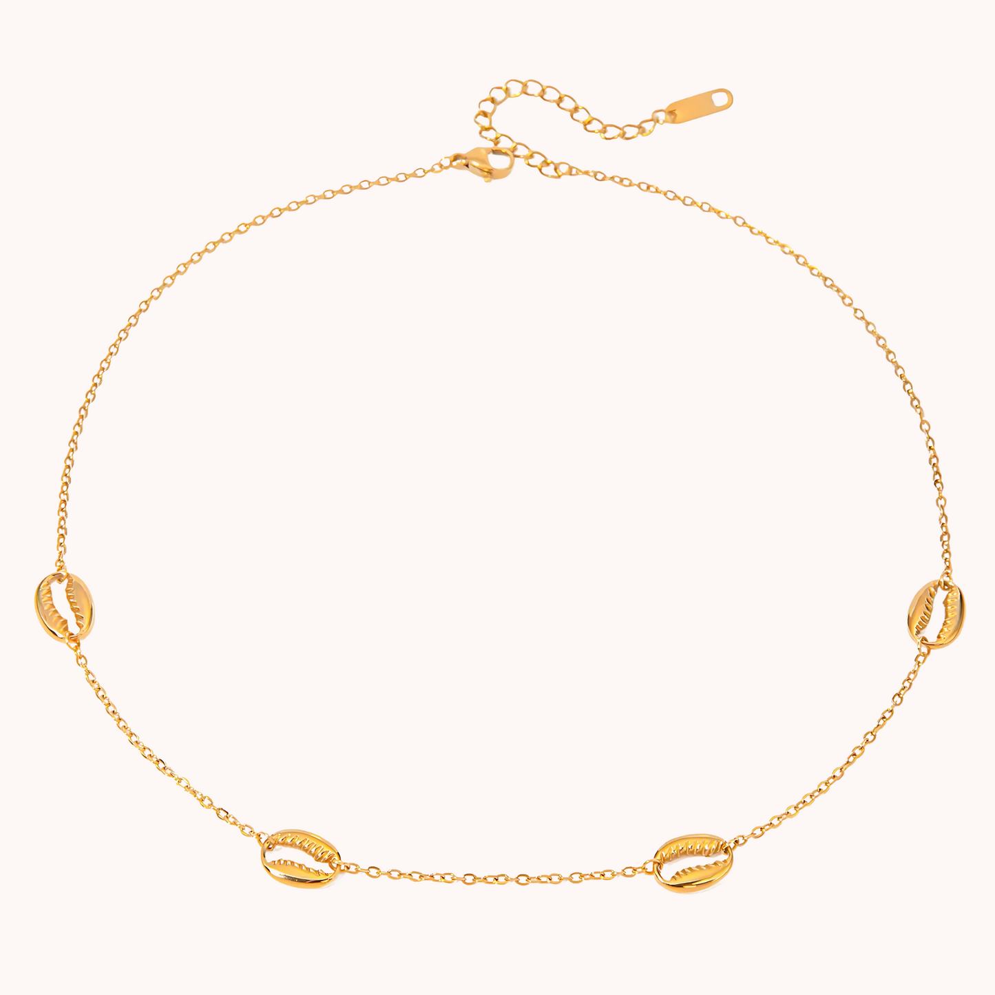 Shell Necklace