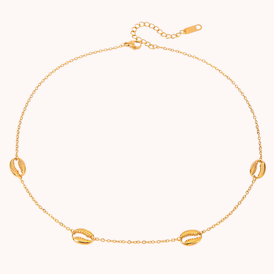 Shell Necklace