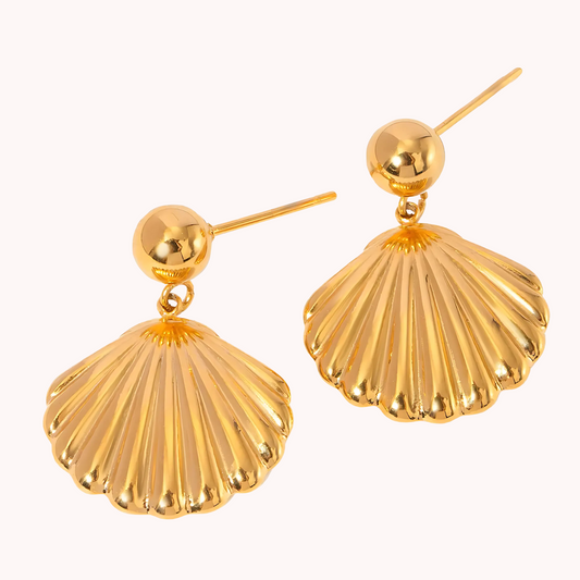 Seashell Earrings