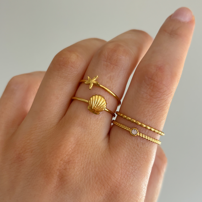 Double Detail Ring